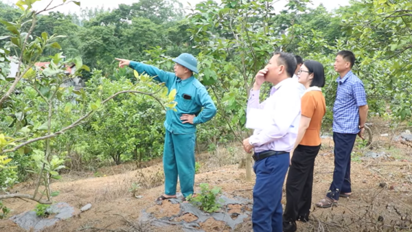 HĐND xã khảo sát các công trình cấp nước sạch nông thôn tập trung tên địa bàn xã Chi Lăng