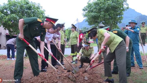 Phát động trồng cây hưởng ứng ngày chống sa mạc hóa và hạn hán