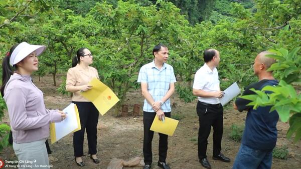 Xã Chi Lăng chấm vườn na đẹp