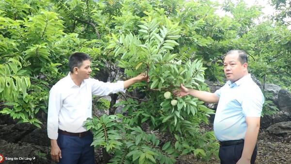 Xã Lực Hành tỉnh Tuyên Quang học tập, trao đổi kinh nghiệm thực hiện chương trình mục tiêu quốc gia tại xã Chi Lăng